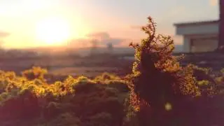 HTC One HDR Video Full HD Sample