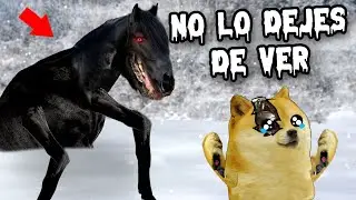EL CABALLO QUE SONRÍE POR LAS NOCHES, no lo dejes de ver! - Hilos con cheems