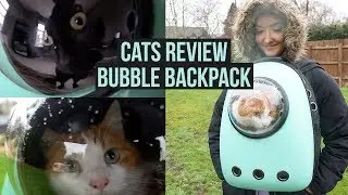 CATS REVIEW BUBBLE BACKPACK!