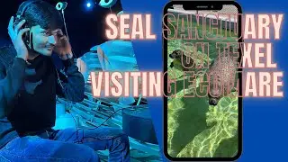 Fascinating Nature| Sea Creatures And Wildlife At Ecomare | Texel Island