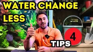 How To NEVER Water Change Your Fishtank Again!