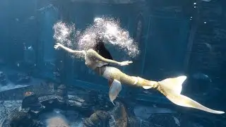 Underwater Vision | Beautiful Mermaids Swim Underwater World水下唯美美人魚視覺
