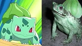 10 Pokemona Koji Zapravo Postoje u Stvarnom Zivotu!?