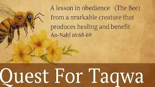 The Bee A Sign of Allah&rsquo;s Wisdom #bee #surah #quran  #quranquotes #trust #true #shorts#reels#foryou