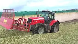 Clip #61MF 6480 Wyllie Buckrake gtritchie5