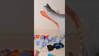 Sharkys Body Creeper🎈🦈🎈 #funny #asmr