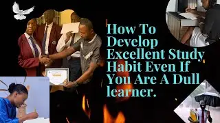 How To Develop An Excellent Study Habit Even If You're A Dull Learner