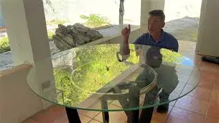 The Elegance of Glass: Unveiling the PADMA HOUSE 48