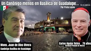 UN CAN&Oacute;NIGO MENOS EN LA BAS&Iacute;LICA DE GUADALUPE. POR PROFA LEYVA, 12 DICIEMBRE 2021