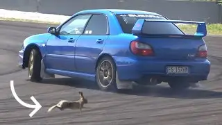 Adria Track Day 05.06.2021 | Part 1 - Subaru Spec C, WRC Replica, 2JZ S14  + High Speed Rabbit!