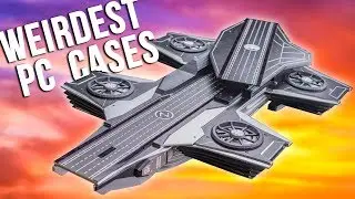 Top 5 Most Insane Cases