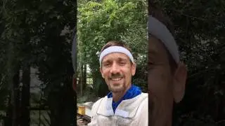 Bee Removal Orlando, Swarm of bees!!!