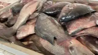 Mostrando a variedade de coisas que t&ecirc;m na feira de Sol&acirc;nea/PB - Parte 5! #ecogeo #feira #solanea