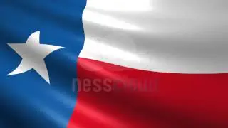 Texas Flag