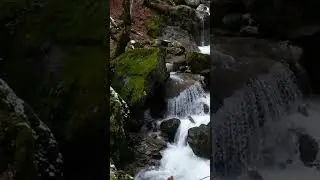 Расслабляющий звуки горный реки России #rainasmr #relaxing #rain