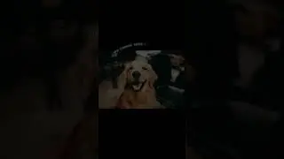 ɪ ɴᴇᴇᴅ ʏᴏᴜ 💔