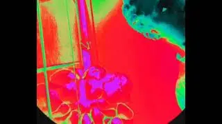 #Dollarsorryens - Garrafa-azul (p. Perrybeatz)