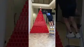 I BUILT THE WORLD'S TALLEST CUP TOWER OMG 🤯😱 #shorts