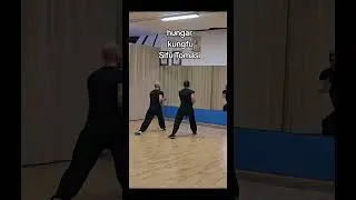 hung gar kung fu sicuramente Tomasi