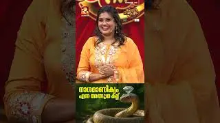 നാഗമാണിക്യം സത്യമോ ? | Comedy Masters | Epi 219  | Amrita TV