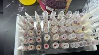 Cuticle Oil restock Press 💅 Rose Gold Nail Oil / Watch me work