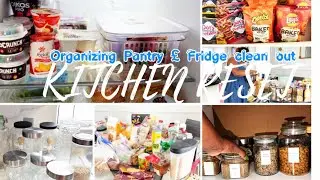 New year Kitchen Reset: Declutter and organize the pantry and clean out the fridge with me
