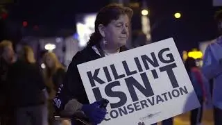 Killing to Conserve? Trophy Raises Difficult Questions