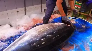 Slicing a Giant Bluefin Tuna at Taiwan Fish Market | Sashimi Cutting ASMR