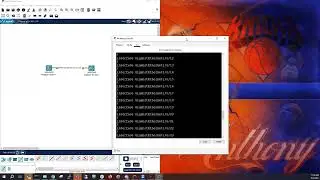 CCNA Initiative - LAB FUN DAY - Autonegotiation (IEEE & Cisco)