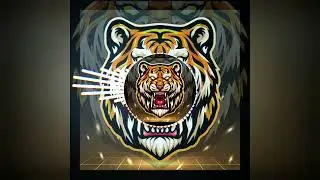 Ipl Tune 2025 Top IPL Song Remix High quality King 👑💖👑💖👑💖#ipl #india #2025 #competition #viralsong