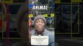 what's the difference between object detection vs classification