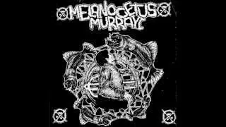 MELANOCETUS MURRAYI / 