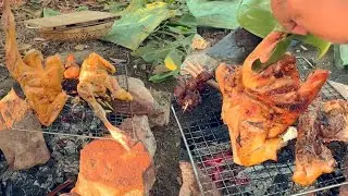Taste the Wild &ndash; Jungle Cooking Made Simple