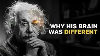 How Albert Einstein&rsquo;s Brain Was Different From Everyone Else
