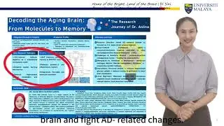 Decoding the Aging Brain From Molecules to Memory