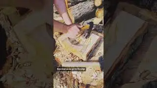 Hand carved ambrosia maple bowls - part 2
