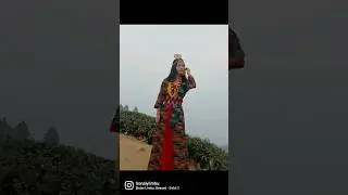 Sewaro🙏 to all Limbu #traditional#cultural #limbu #kanyam #culturaldress #nepalisong  #nepal