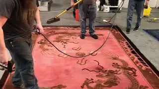 Rug/Carpet Dyeing/Bleach Spot Repair/Over Dyeing/Carpet Repair/Rug Restoration/Long Island/ NY/NYC
