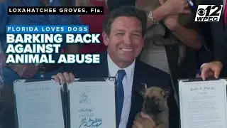 Florida barks back against animal abuse as Gov. DeSantis signs Trooper's, Dexter's laws
