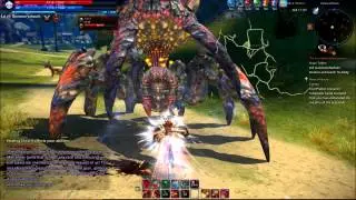 TERA World Boss Arakia Solo... WAIT COME BACK!