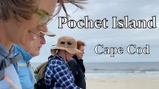 The Native Plants of Pochet Island, Cape Cod, Massachusetts #hiking #capecod