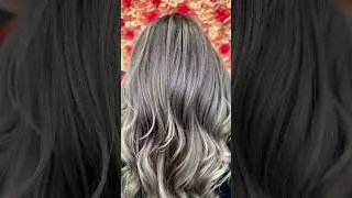 Toner For Purple Grey by Taylorsbeautychair