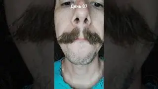УСЫ День 87 #mustache #усы #усач #усик #foryou #beard