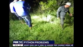 The Python Challenge