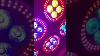 4 eyes led blinder beam light with led ring