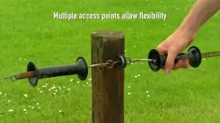 Layout and Infrastructure on Dairy Farms