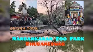 VLOG-70 | Nandankanan Zoo Safari 🐅 | Odisha Travel Vlog #nandankananzoologicalpark #bhubaneswar