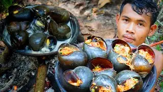 Primitive Snail Cooking in the Wild | Unique Forest Food Recipe