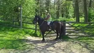 Opening and closing bridleway gate on horseback 2