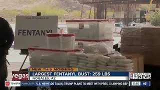 Largest fentanyl bust ever in AZ
